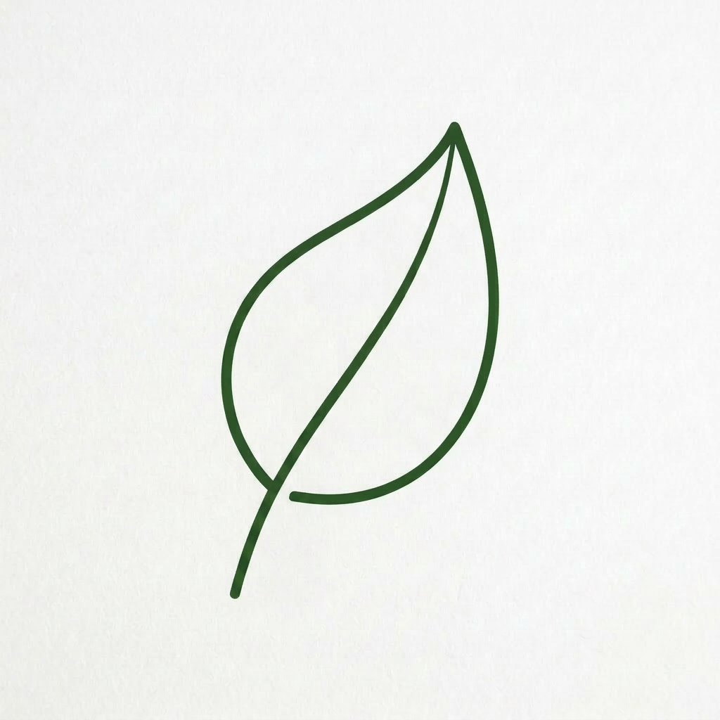 Green outline of a leaf with branching veins on white background